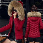 Slim Cotton Padded Jacket Down photo 1