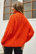 Cable-knit Turtle Neck Long Sleeve Sweater (4)