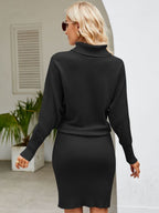 Turtle Neck Long Sleeve Ribbed Sweater Dress (9)