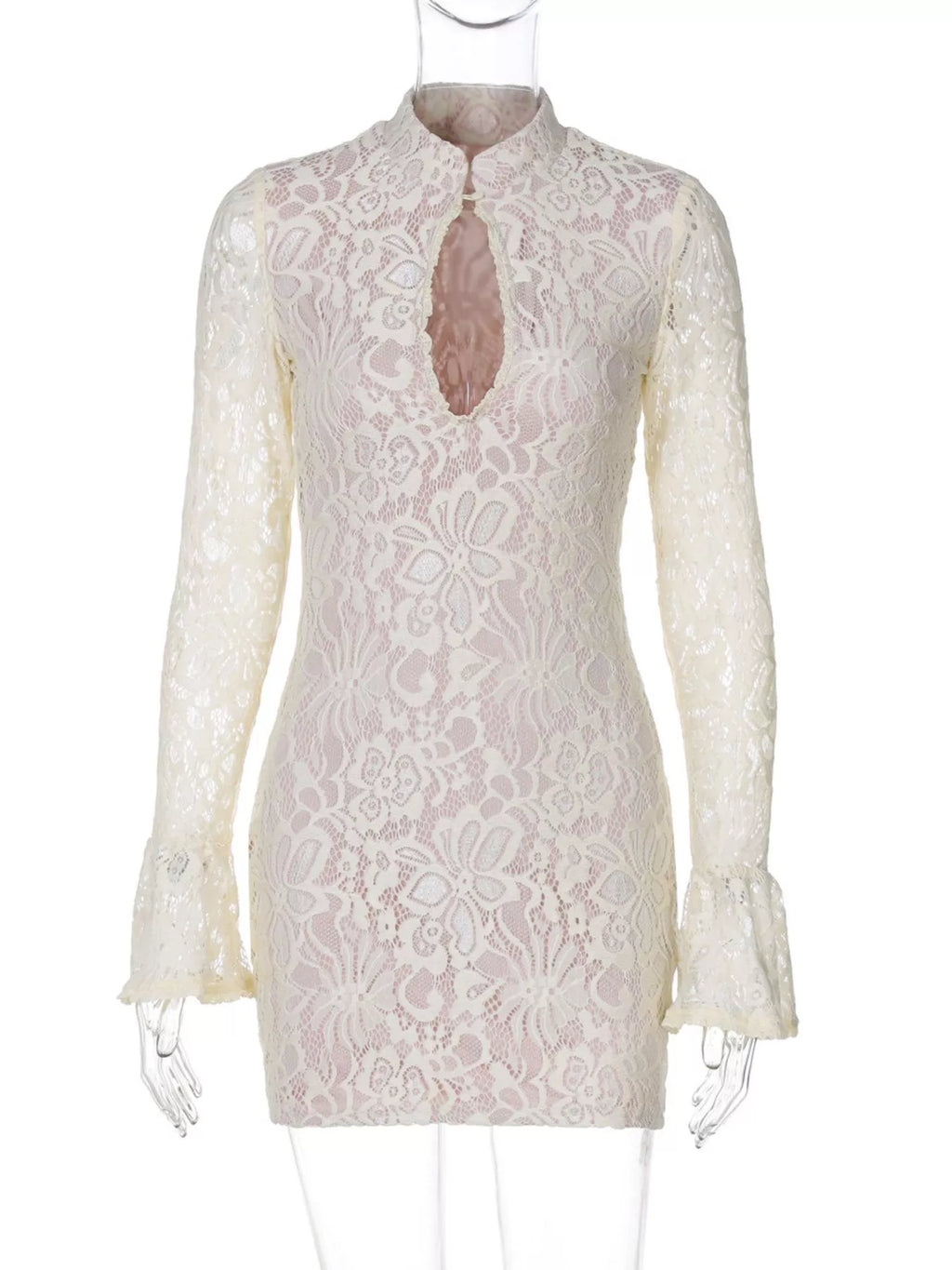 Lace Cutout Long Sleeve Mini Dress (14)
