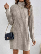 Casual Ribbed Turtleneck Long Sleeve Mini Dress (3)