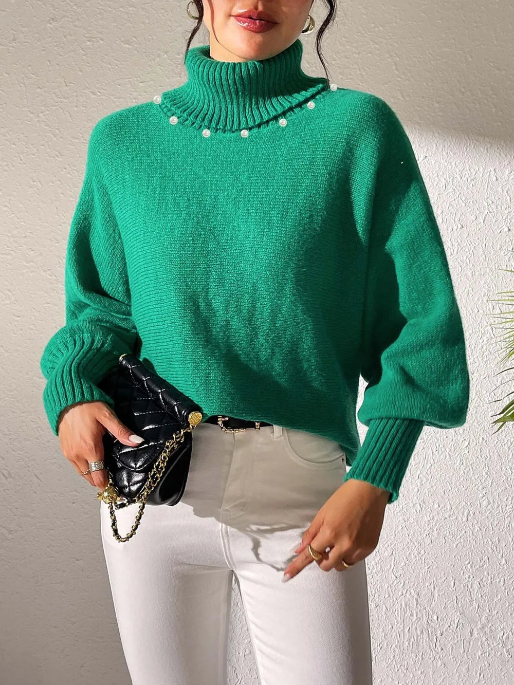 Turtleneck Long Sleeve Sweater (14)