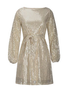 Sequin Tie Waist Long Sleeve Mini Dress (3)