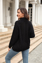 Cable-knit Turtle Neck Long Sleeve Sweater (11)