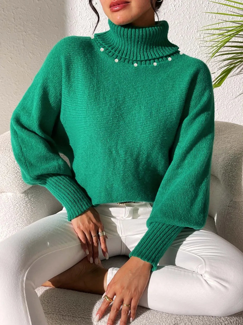 Turtleneck Long Sleeve Sweater (20)