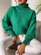 Turtleneck Long Sleeve Sweater (20)