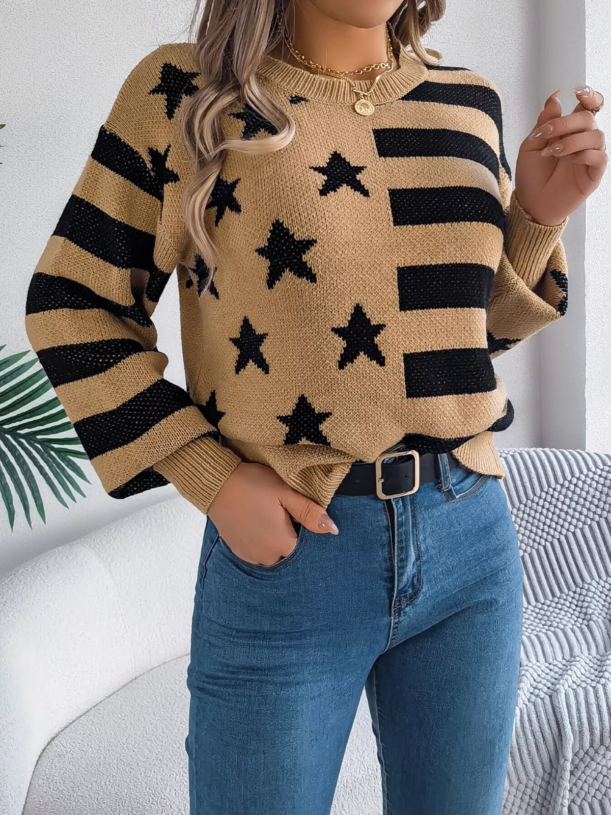 Stars Stripes Pattern Casual Round Neck Sweater (6)