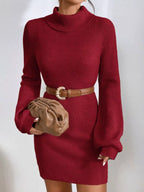Turtleneck Ribbed Knit Sweater Dress (23)