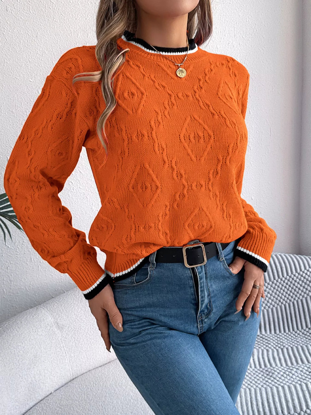 Contrast Trim Round Neck Sweater (15)