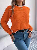 Contrast Trim Round Neck Sweater (15)