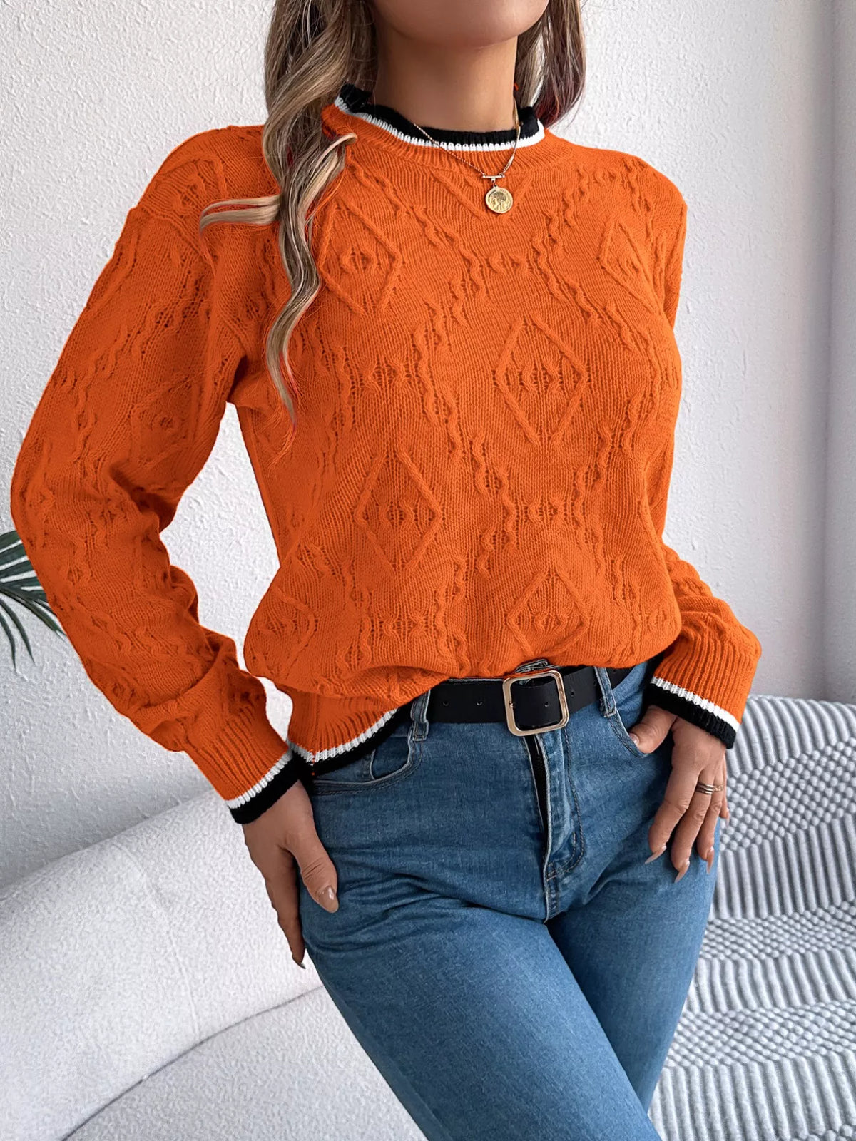Contrast Trim Round Neck Sweater (15)