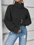 Textured Knit Turtleneck Long Sleeve Sweater (11)