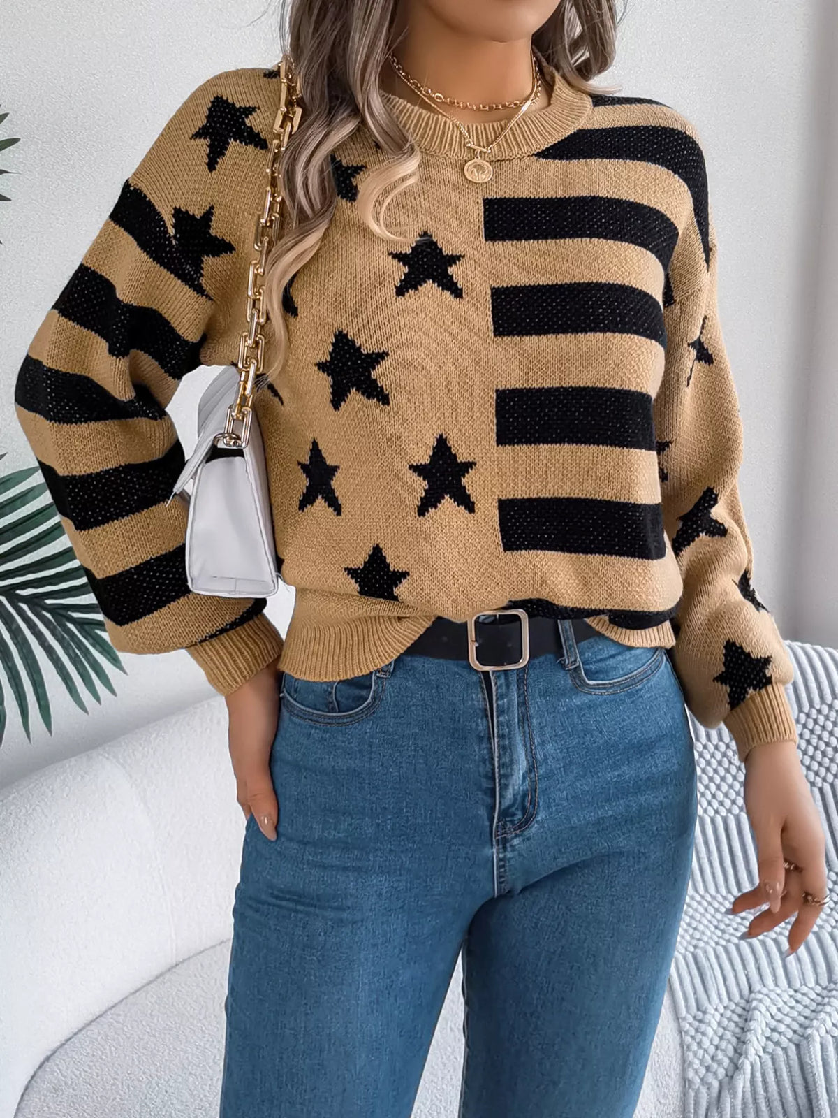Stars Stripes Pattern Casual Round Neck Sweater (9)