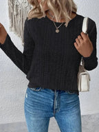 Eyelet Round Neck Long Sleeve Blouse (7)