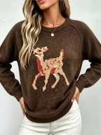 Deer Pattern Raglan Sleeve Sweater (3)
