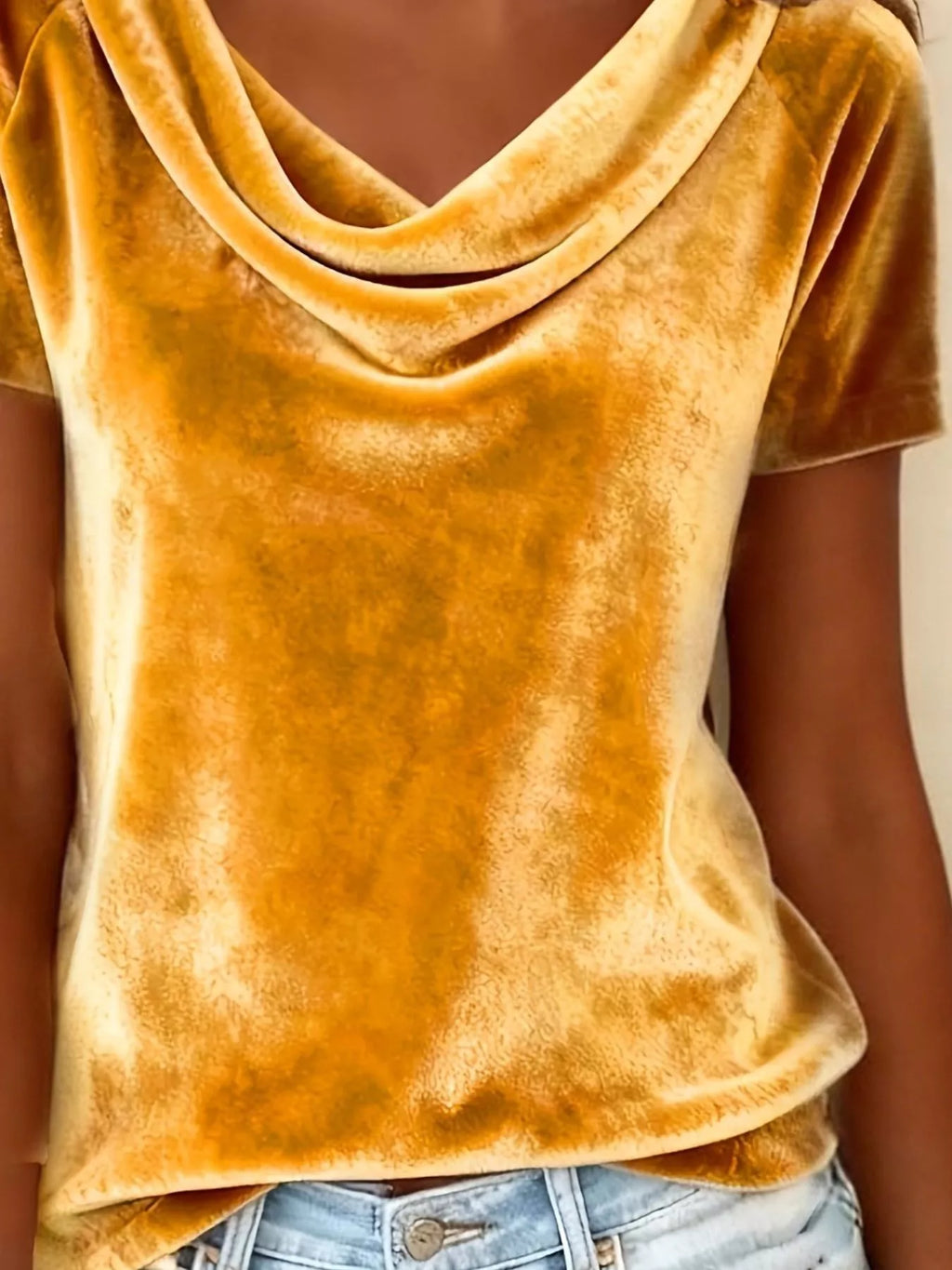 Velvet Cowl Neck Short Sleeve Top (12)
