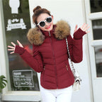 Brown Parka Jacket Winter Parkas variant CJJK119474412LO|CJJK119474413MN|CJJK119474414NM|CJJK119474415OL