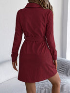 Corduroy Button-down Shirt Dress (17)