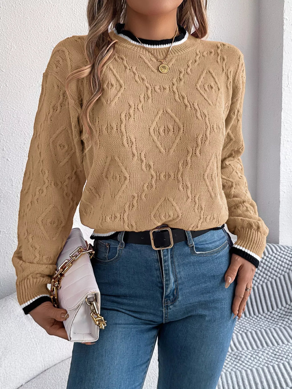 Contrast Trim Round Neck Sweater (12)