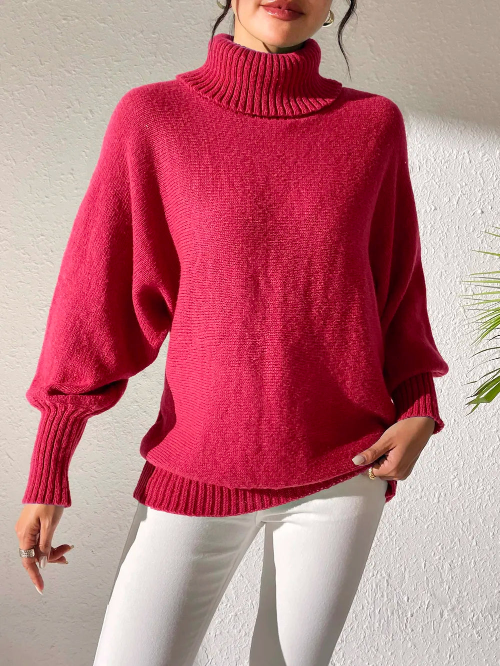 Turtleneck Long Sleeve Sweater (8)