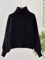Textured Knit Turtleneck Long Sleeve Sweater (12)