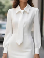 Tie-neck Long Sleeve Dress (4)