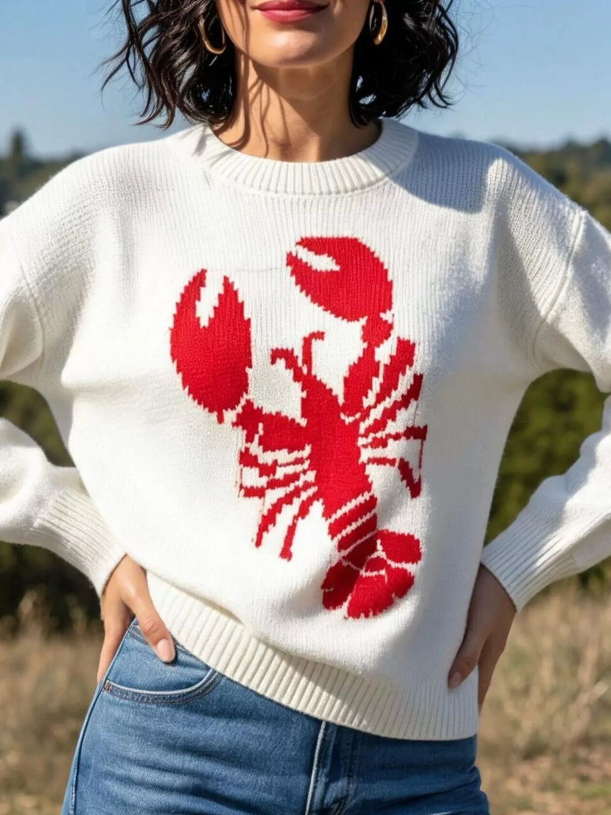 Lobster Graphic Crew Neck Sweater (3)