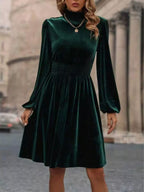 Velvet High Neck Long Sleeve A-line Dress (4)
