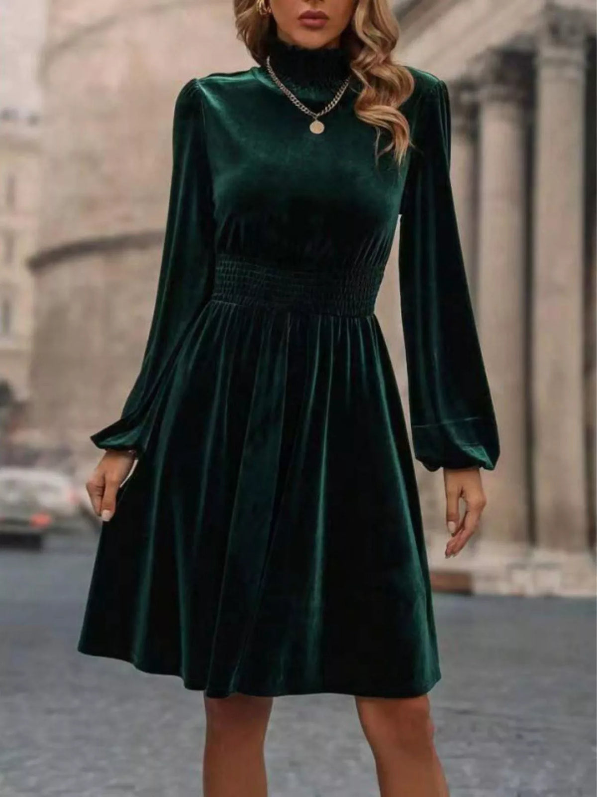 Velvet High Neck Long Sleeve A-line Dress (4)