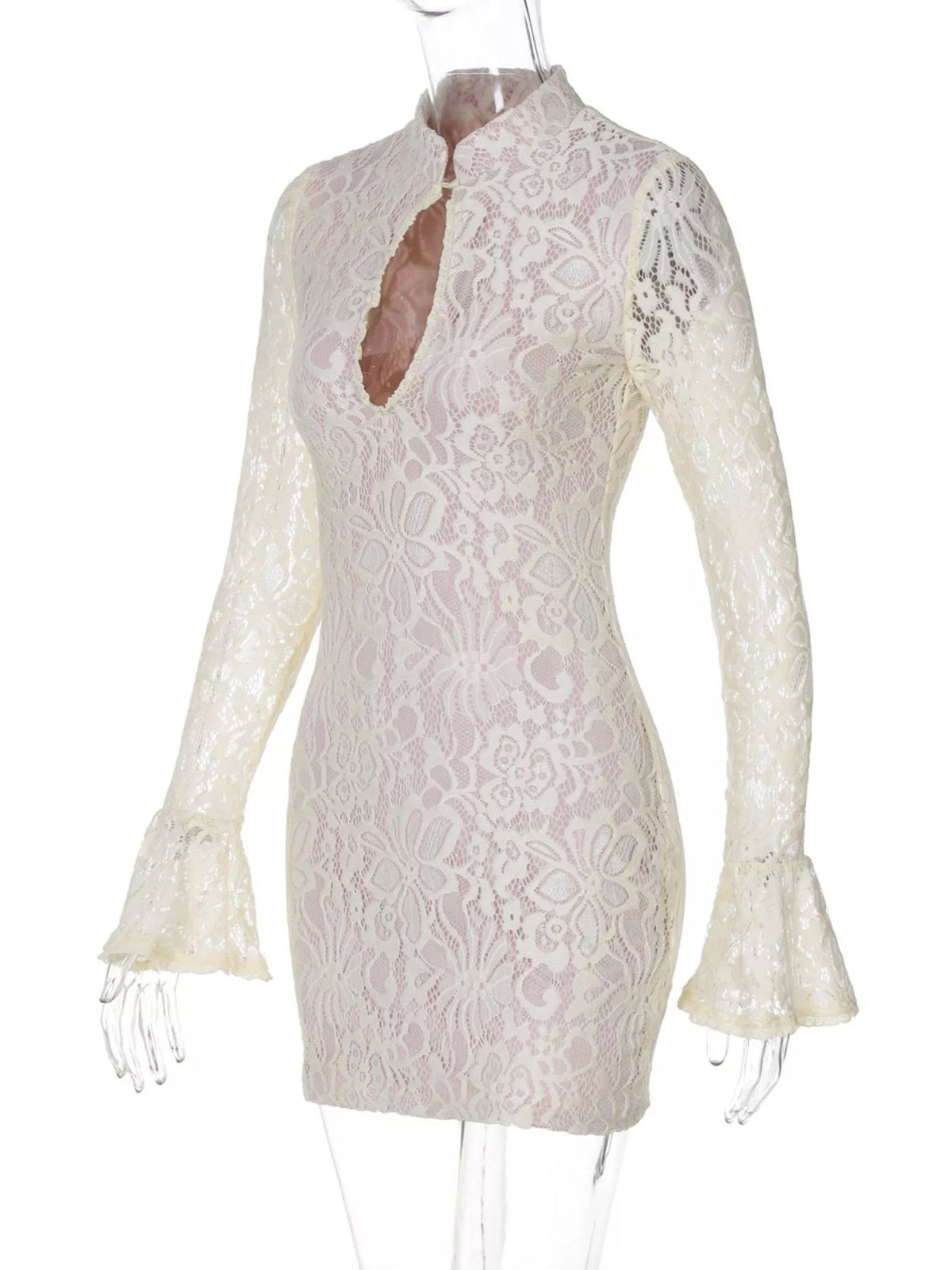 Lace Cutout Long Sleeve Mini Dress (13)
