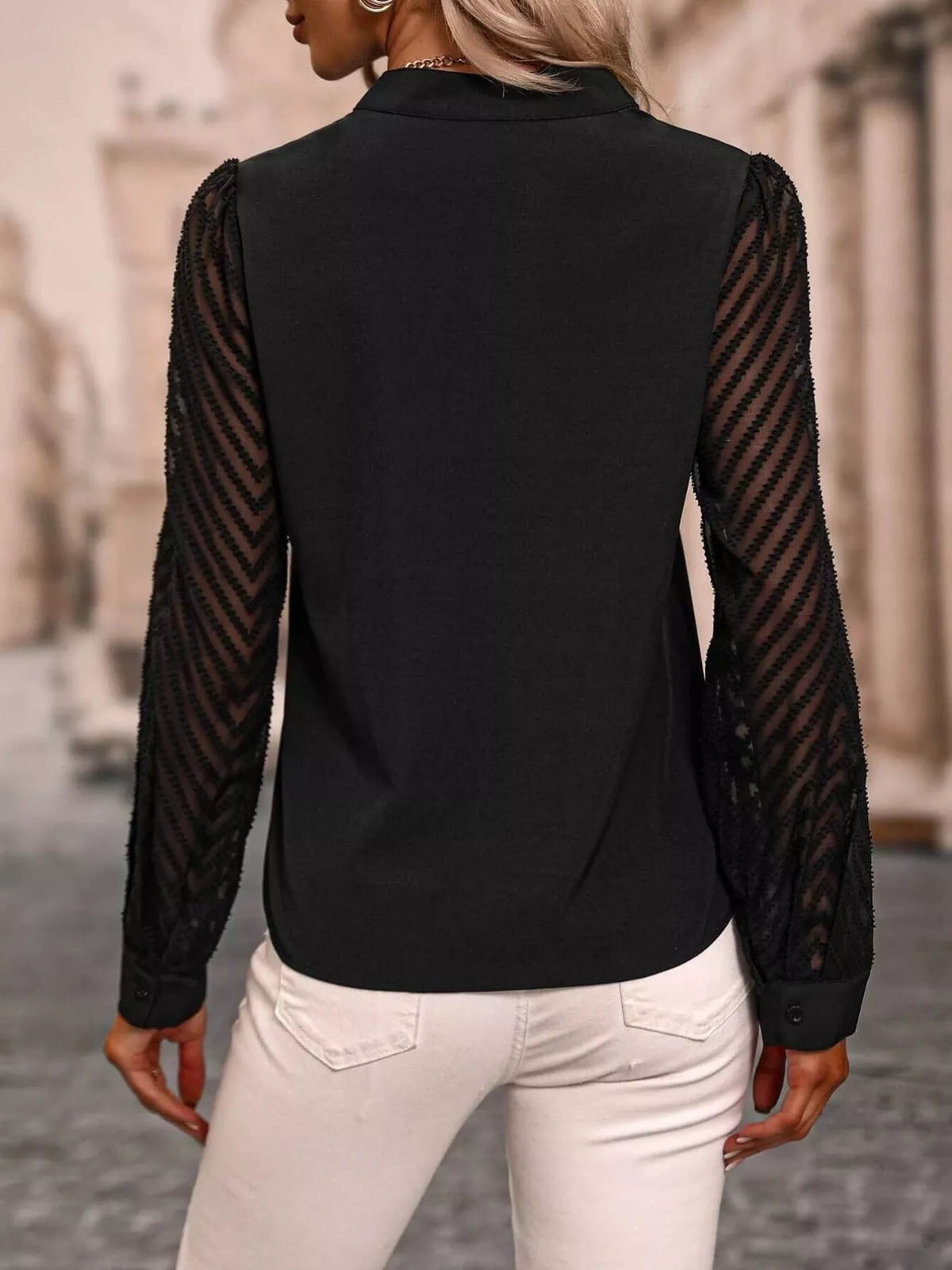 Sheer Sleeve V-neck Blouse (2)