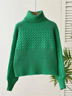 Textured Knit Turtleneck Long Sleeve Sweater (5)