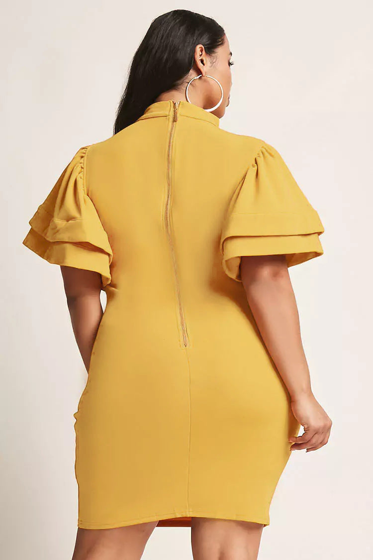High-neck Ruffled Short-sleeved Dress photo 1