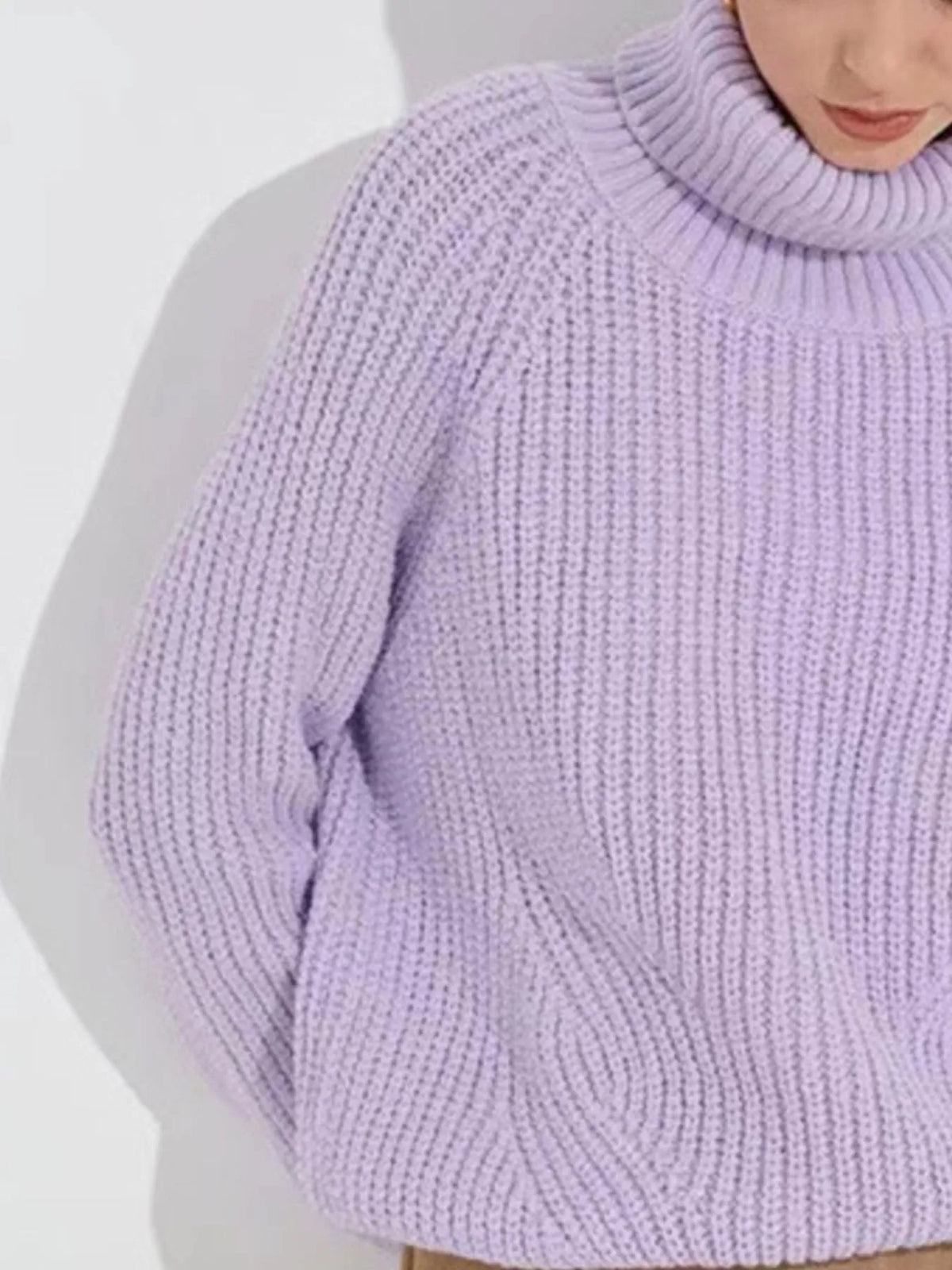 Turtleneck Long Sleeve Sweater (8)