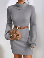 Turtleneck Ribbed Knit Sweater Dress (13)