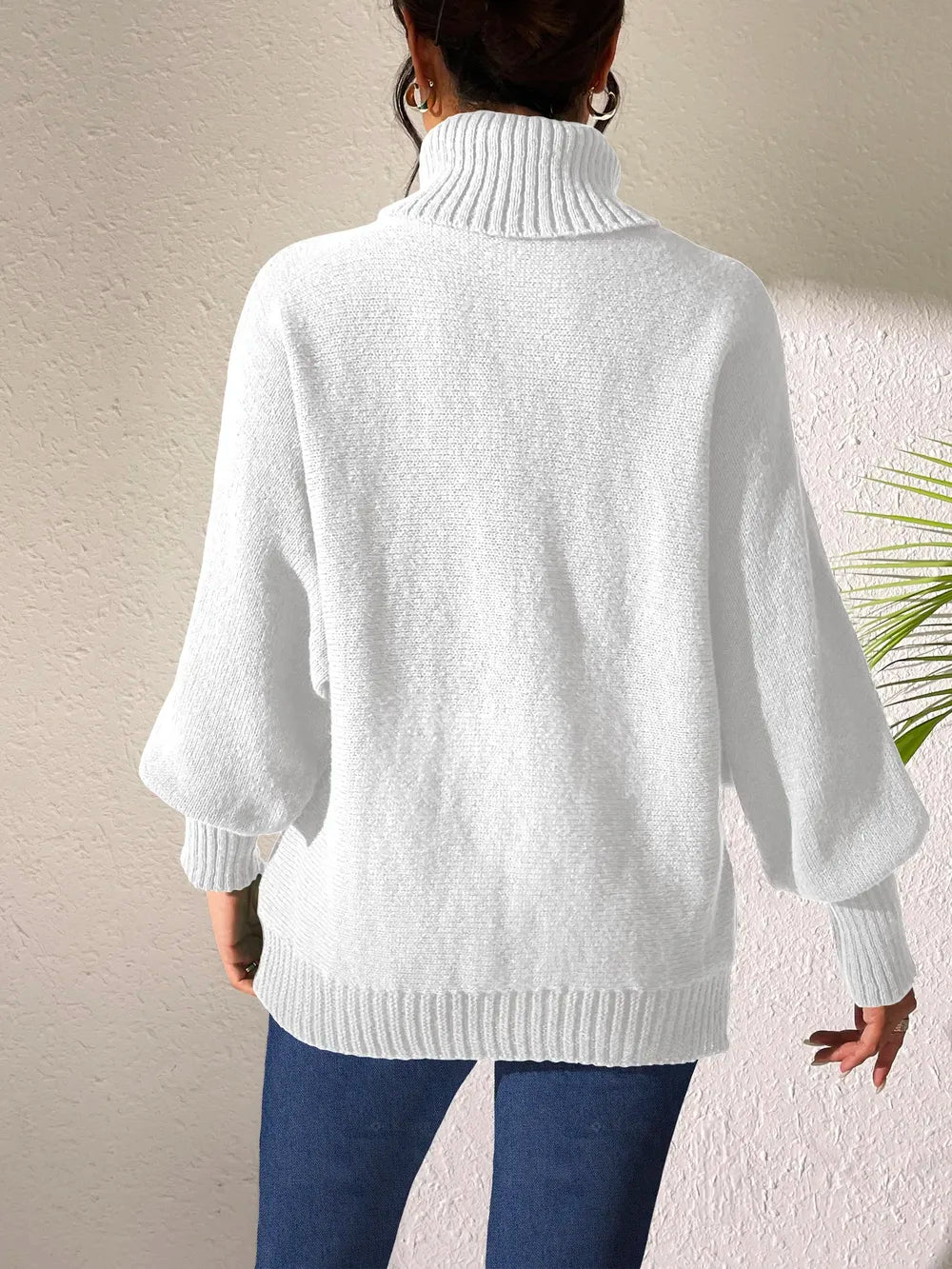 Turtleneck Long Sleeve Sweater (2)