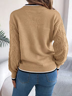 Contrast Trim Round Neck Sweater (8)