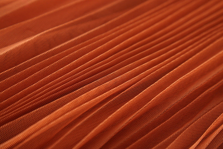 Pleated Mesh Skirt photo 4