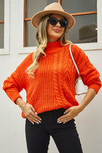Cable-knit Turtle Neck Long Sleeve Sweater (3)
