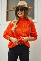 Cable-knit Turtle Neck Long Sleeve Sweater (2)