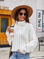 Turtle Neck Cable-knit Sweater (5)