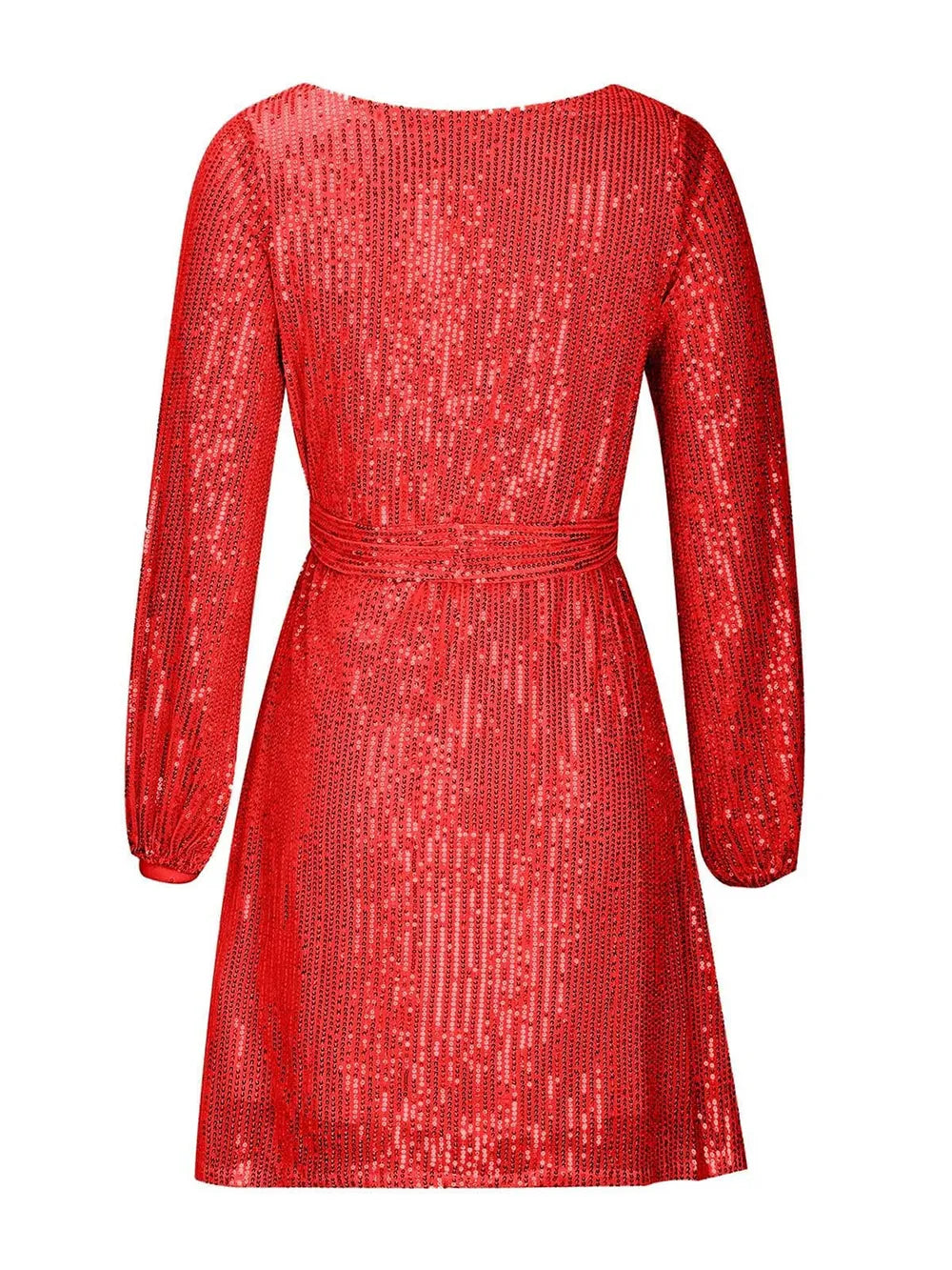 Sequin Tie Waist Long Sleeve Mini Dress (10)