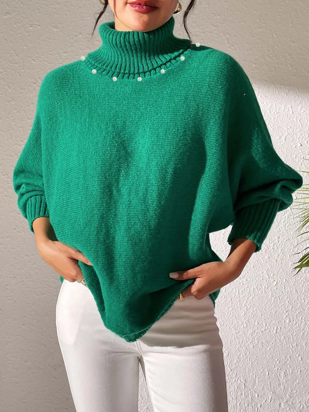Turtleneck Long Sleeve Sweater (21)