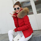 Brown Parka Jacket Winter Parkas variant CJJK119474407GT|CJJK119474408HS|CJJK119474409IR|CJJK119474410JQ