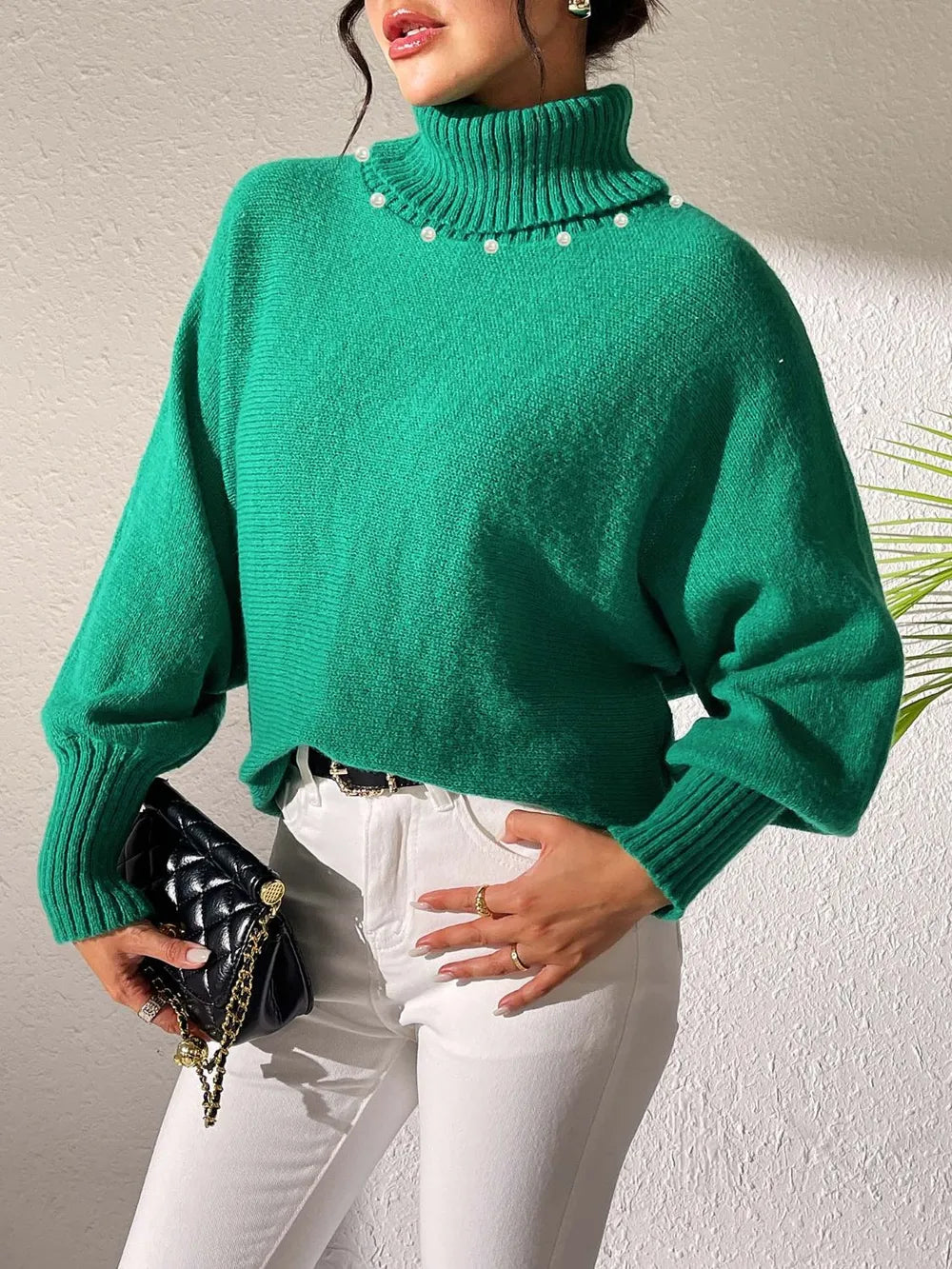 Turtleneck Long Sleeve Sweater (18)