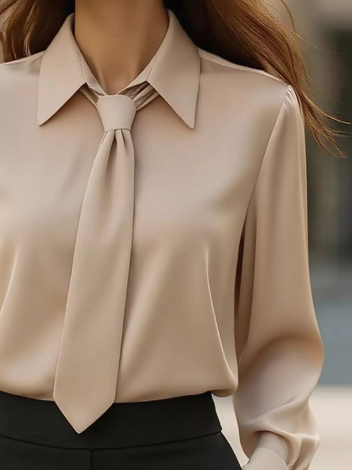 Collared Neck Long Sleeve Blouse (11)