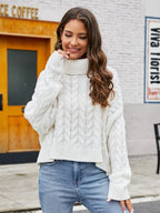 Turtle Neck Cable-knit Sweater (3)