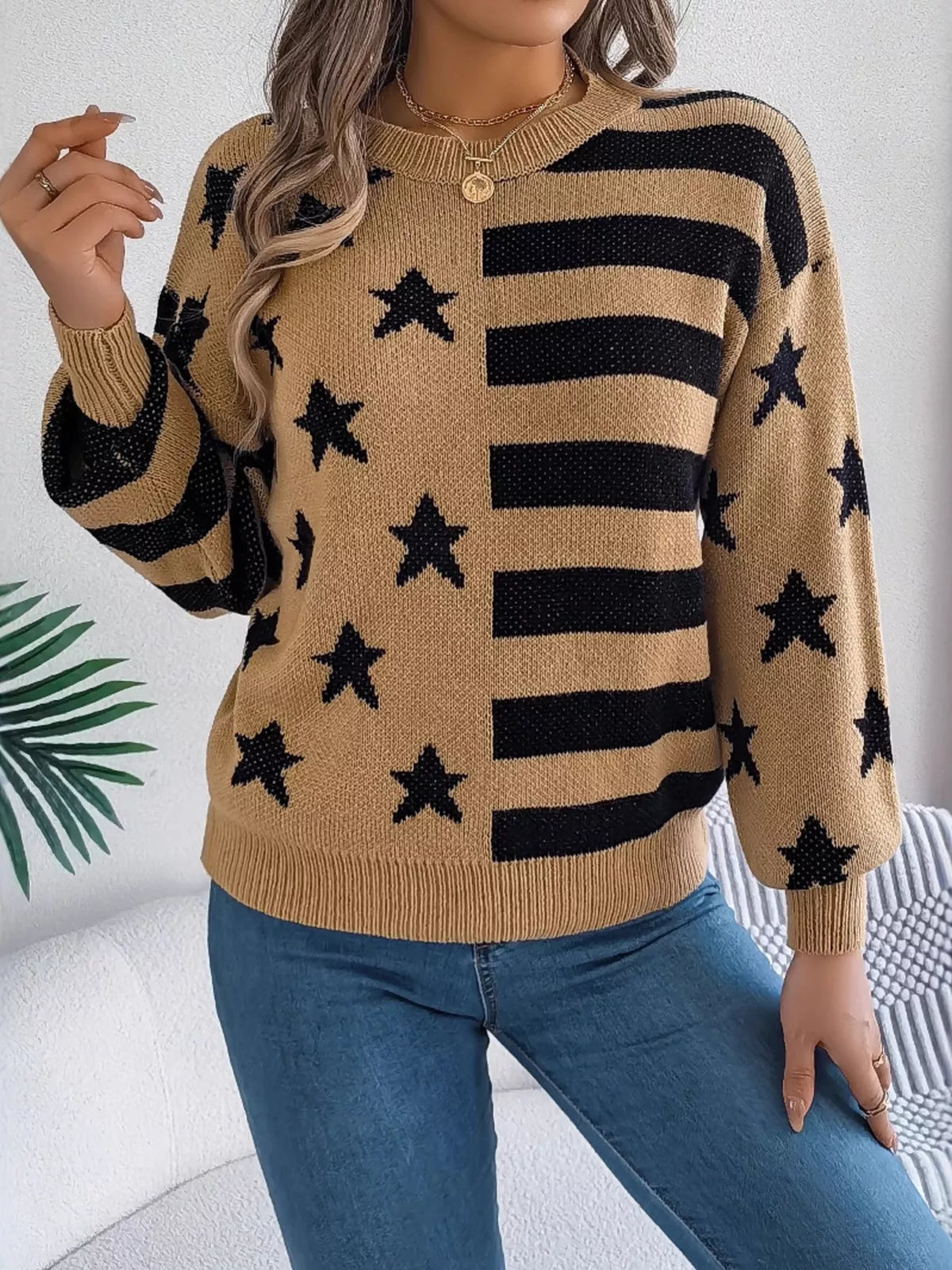 Stars Stripes Pattern Casual Round Neck Sweater (7)