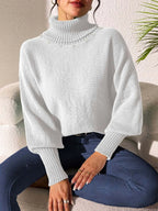 Turtleneck Long Sleeve Sweater (7)