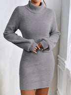 Turtleneck Ribbed Knit Sweater Dress (10)